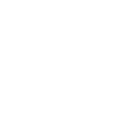 Web Application and Web Development Icon